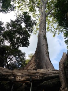 P1020321